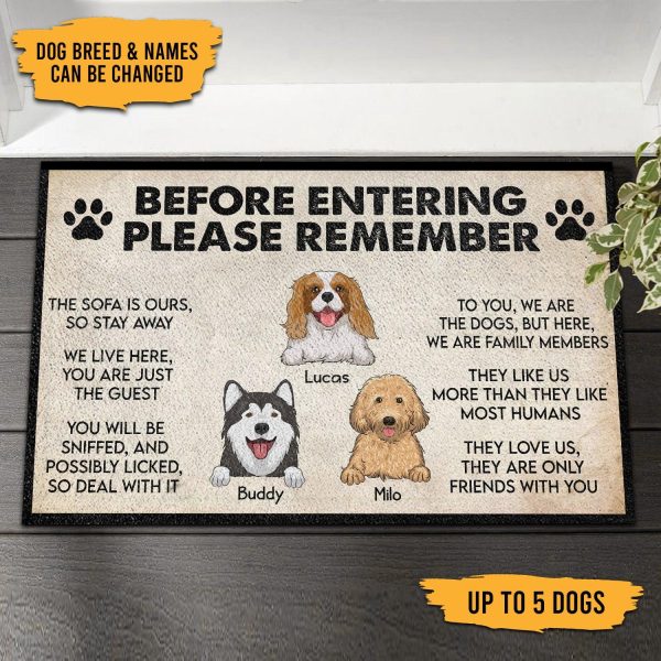 Dog Before Entering Please Remember Personalized Doormat, Personalized Gift for Dog Lovers, Dog Dad, Dog Mom - DM002PS07 For Cheap - Image 2